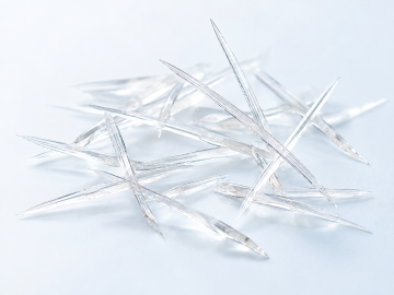 Spicule