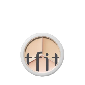 TFIT Concealer pentru față Cover Up Pro, 15 gNuanța: 03 Cool