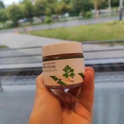 ROUND LAB Cremă calmantă Mugwort, 80 ml